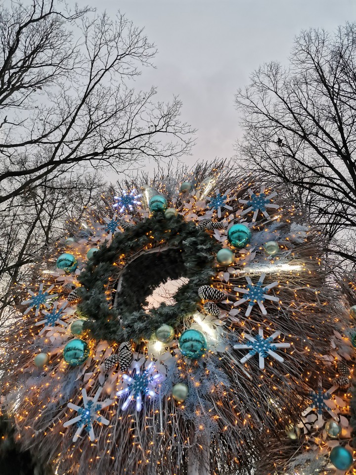 лесное