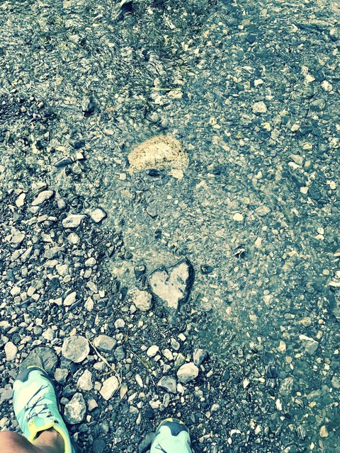 cuore mio