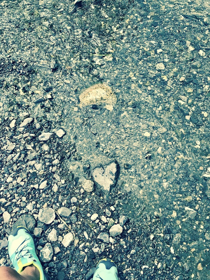 cuore mio