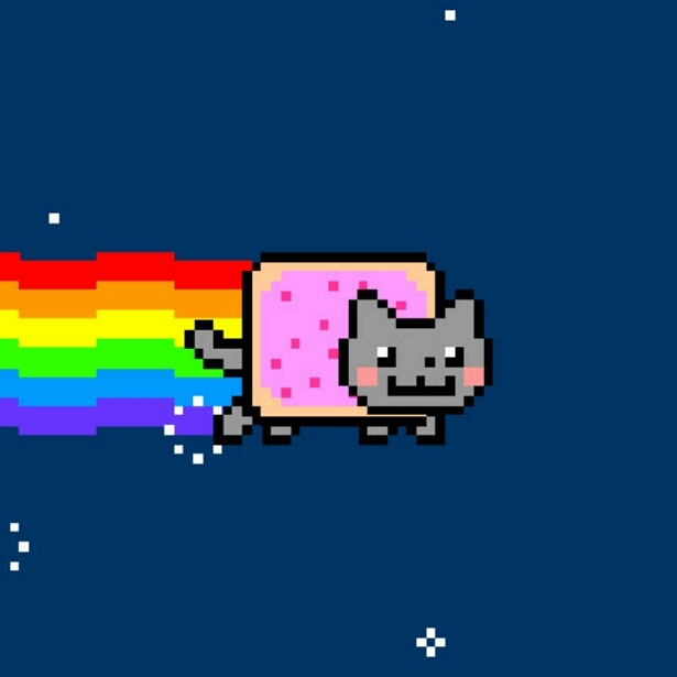 Nian cat