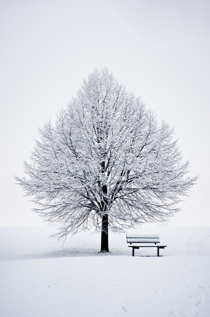 beautiful winter