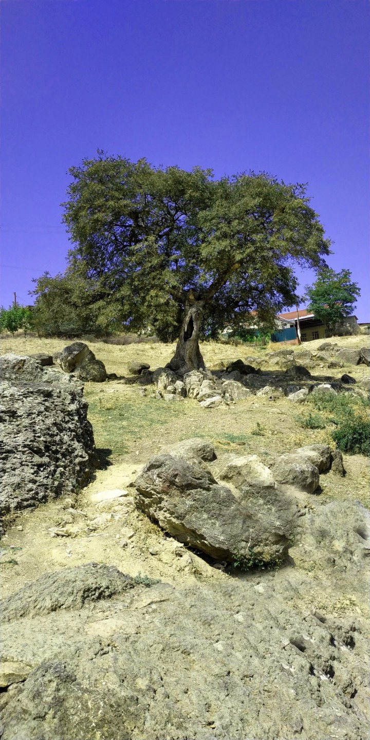 Tovuz