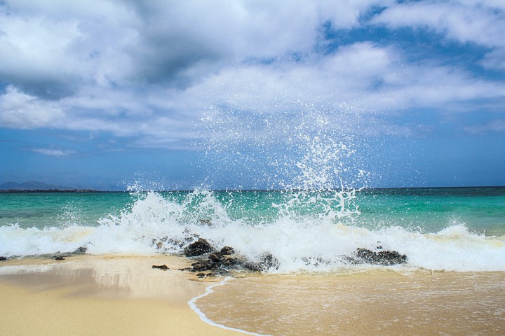 Ocean
