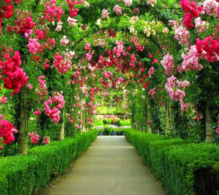 Green Road
