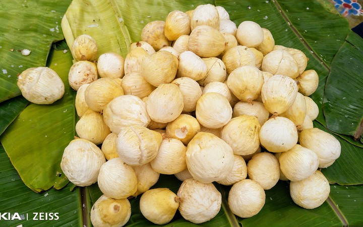 coconut fruit