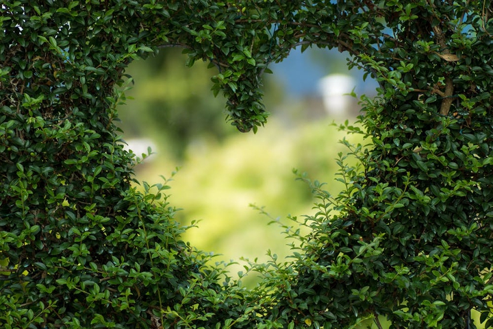NATURE LOVE