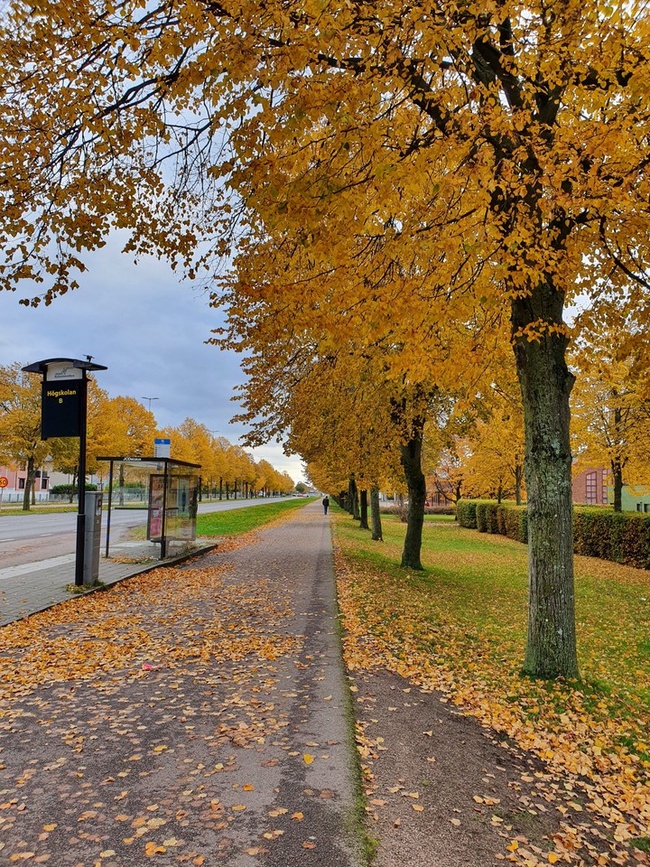 Autumn looks beautiful.