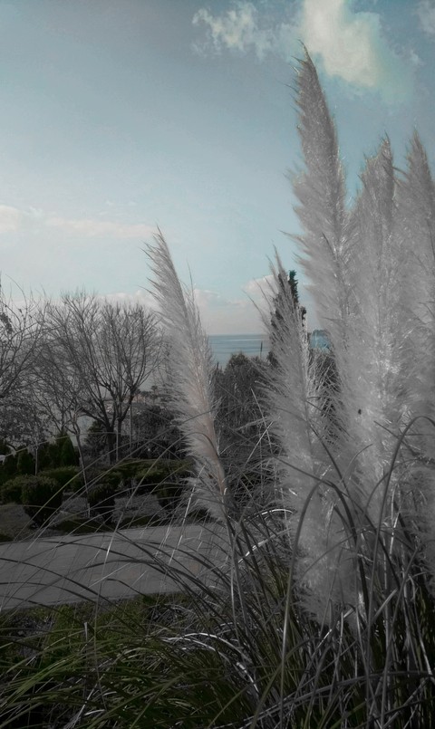 renkler ve deniz