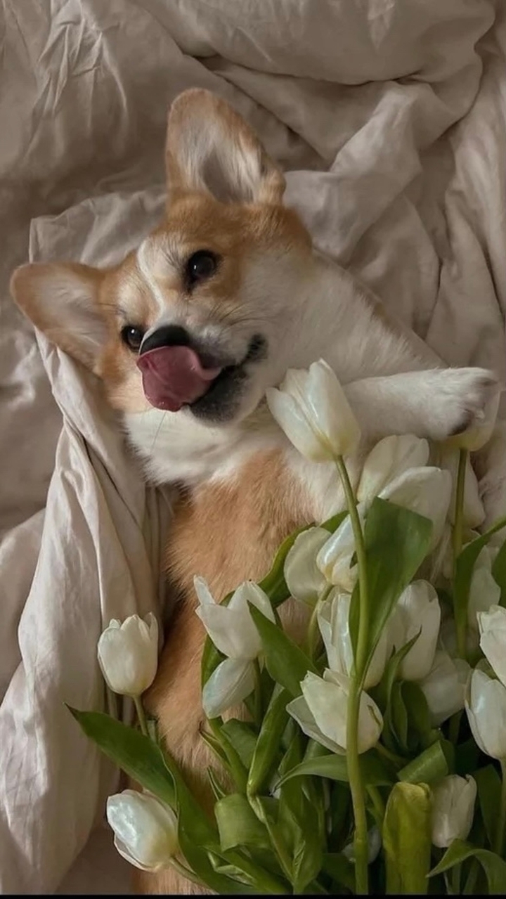 .