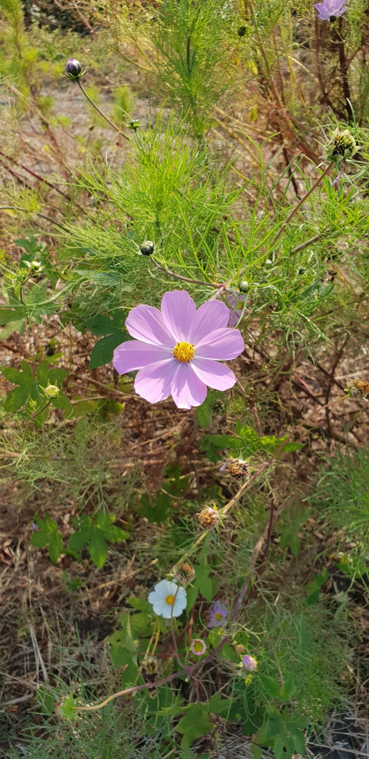 가을