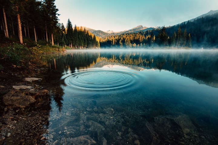 the lake