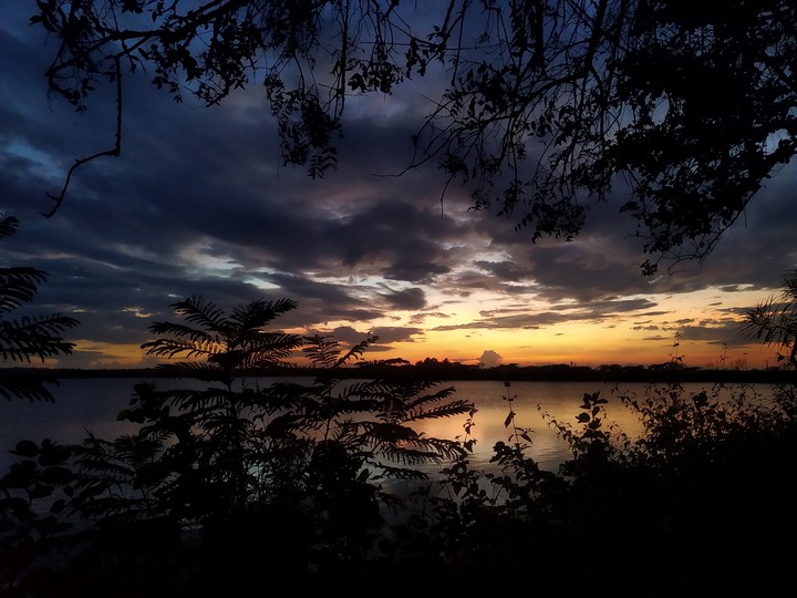 nature