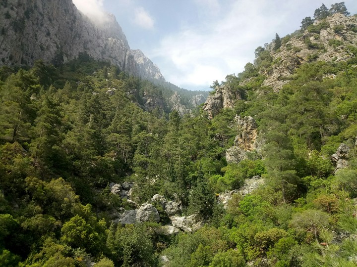 mountains