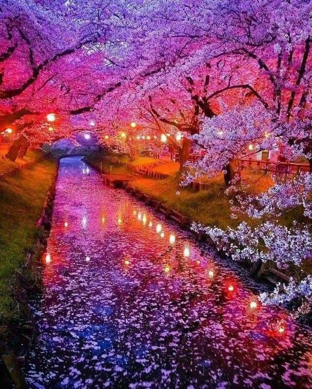 Breathtaking Scenery