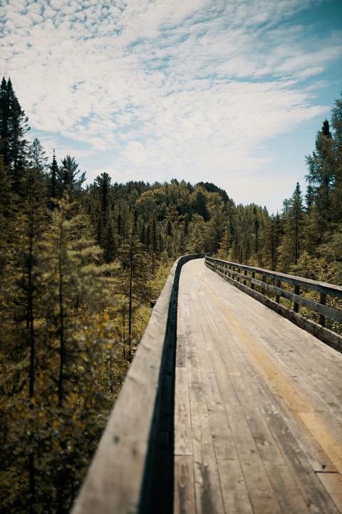 tapety wood, boardwalk