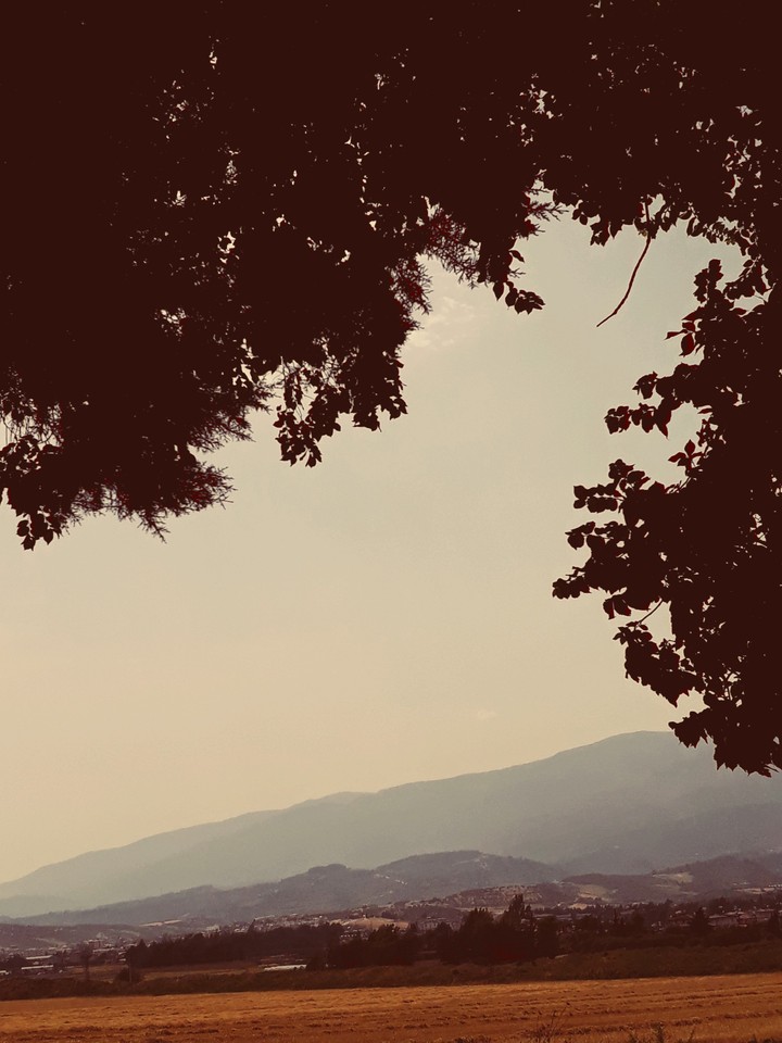 nature