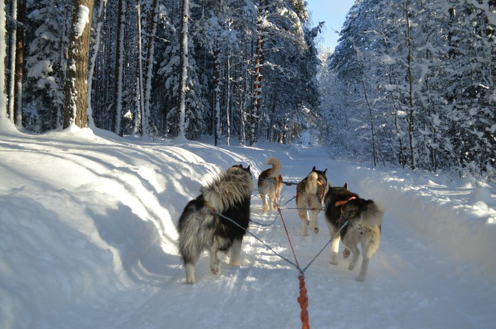 Perfect winter