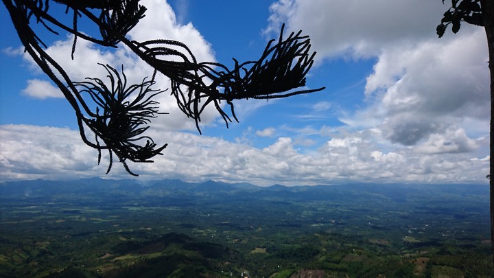 mountain