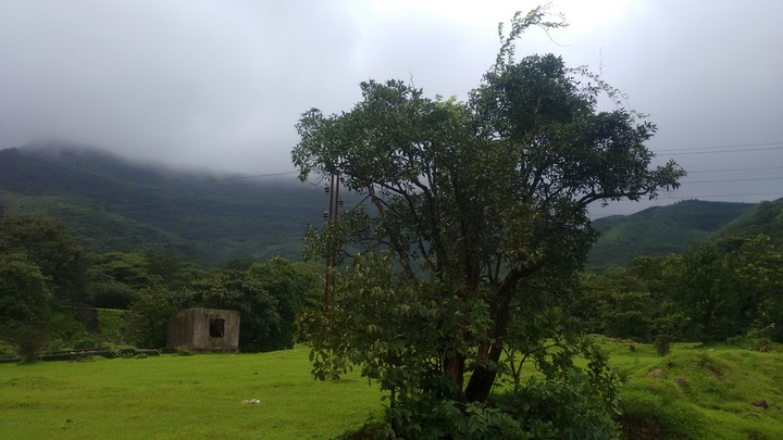 निसर्ग