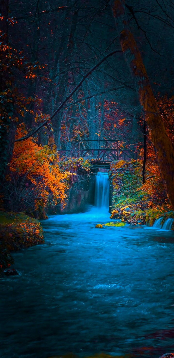 nature
