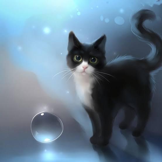 The Cat