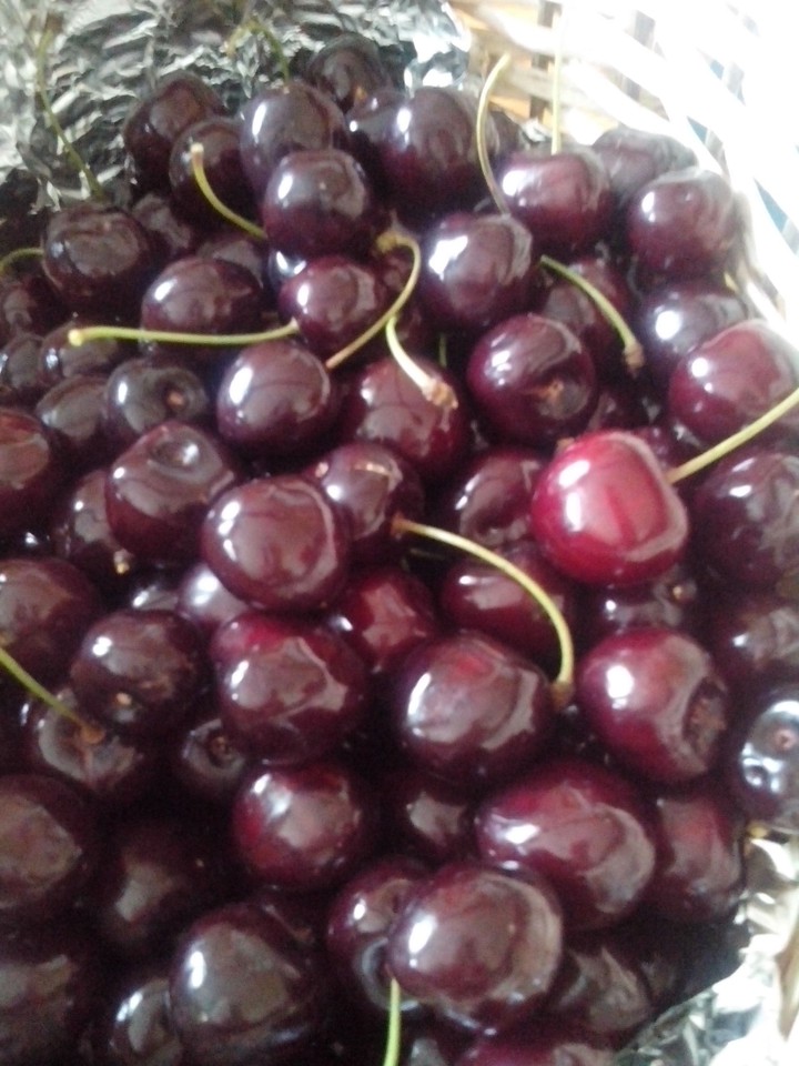 Dark red cherry..