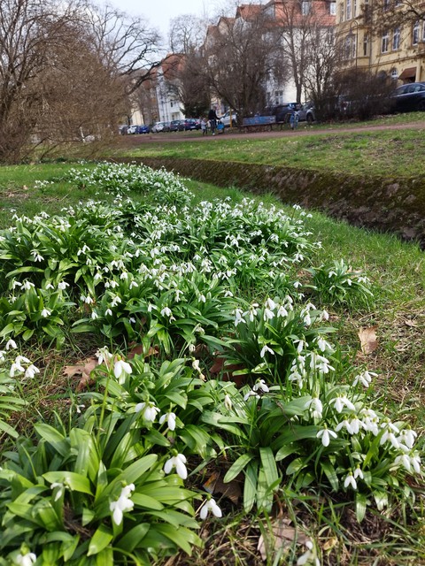 Building, groundcover háttérképek