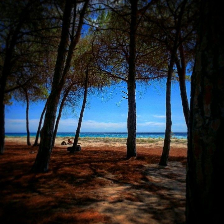 Sardegna