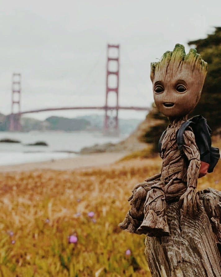 Groot