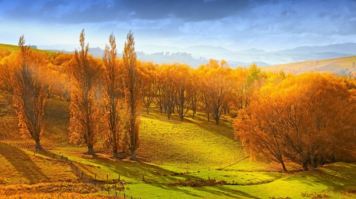 you love nature