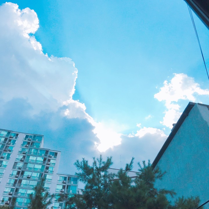 sunny