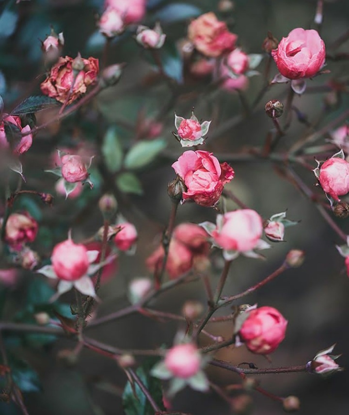 ♡♡