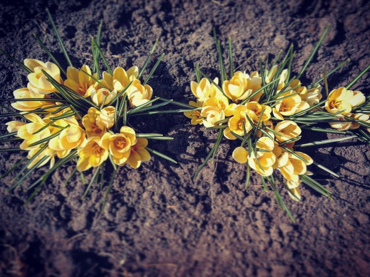 spring mood