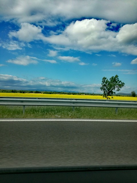 On the yellow road