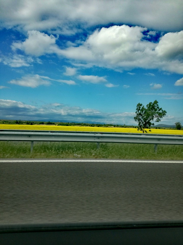 On the yellow road