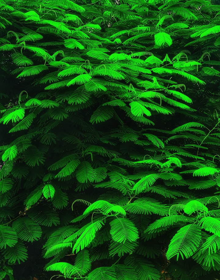 Nature