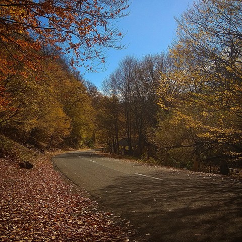 Road