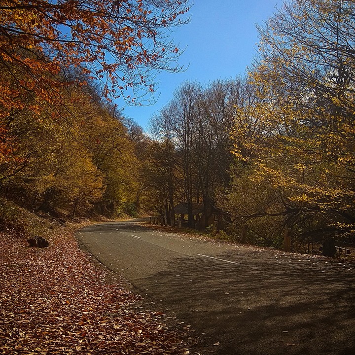 Road