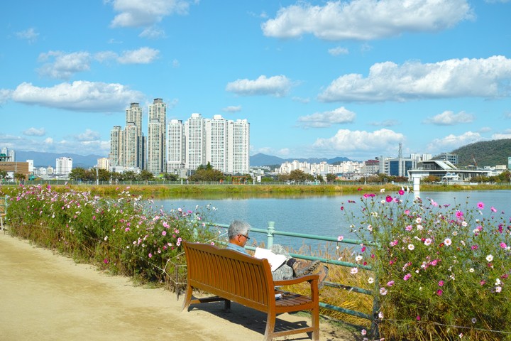 독서