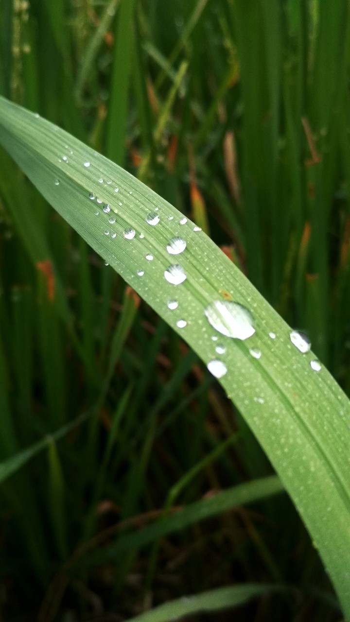 #water_drops