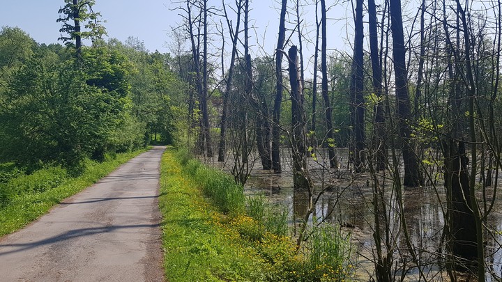 moczary