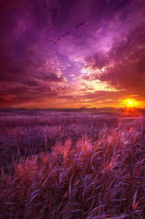 sunset