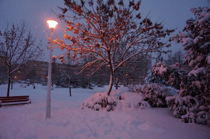 Winter landscape