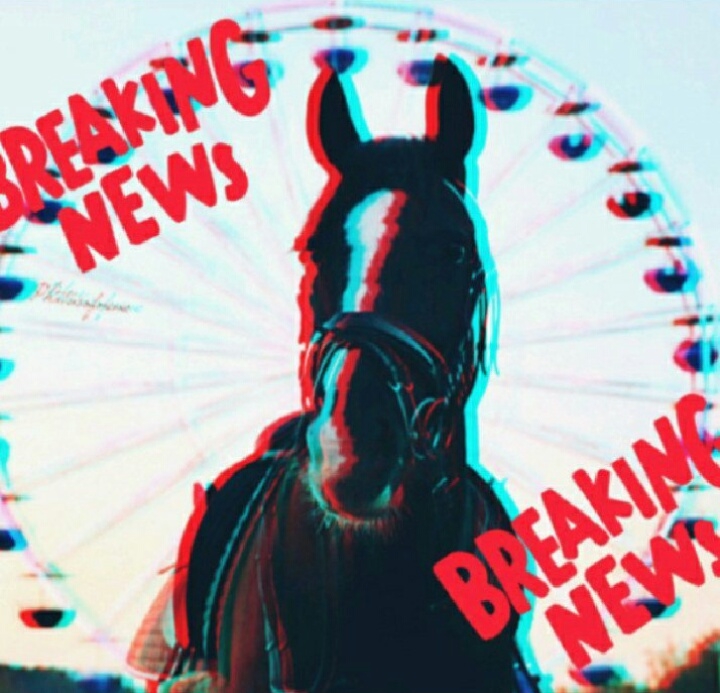 #horse