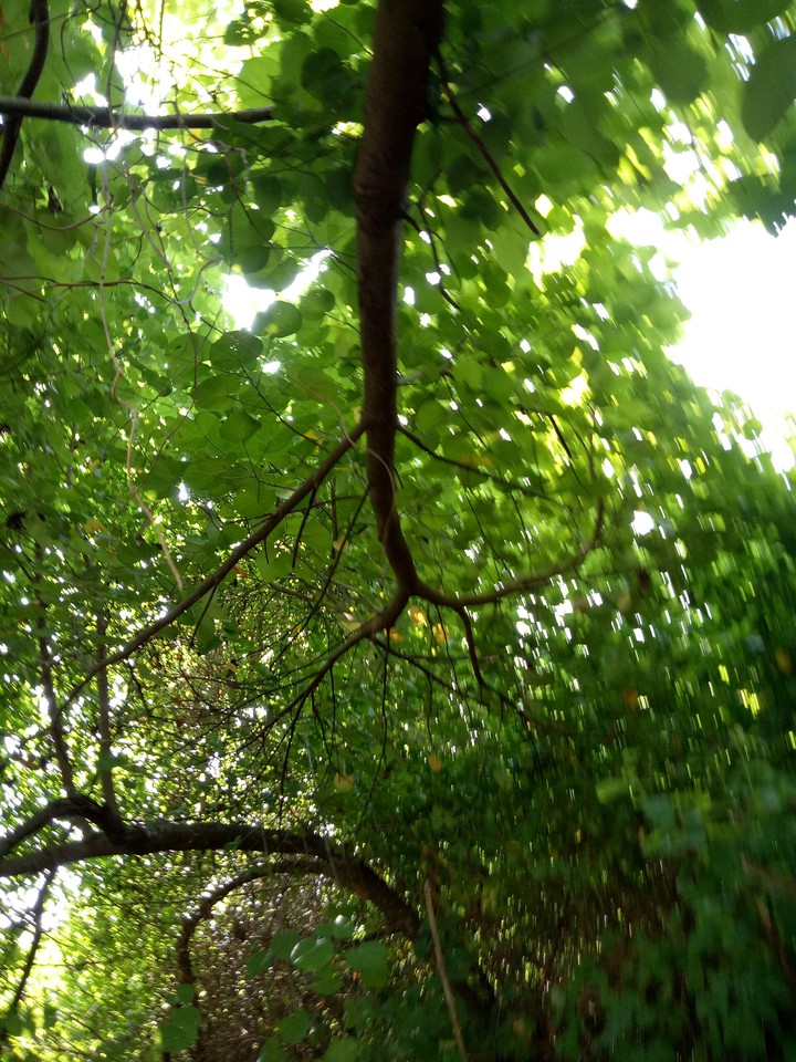 up and above