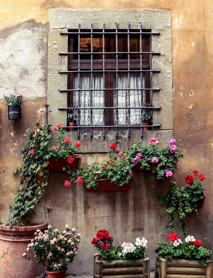 pretty window garden in flower