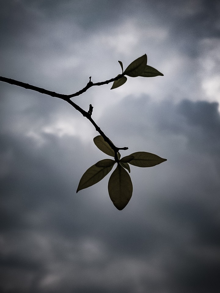 cloudy