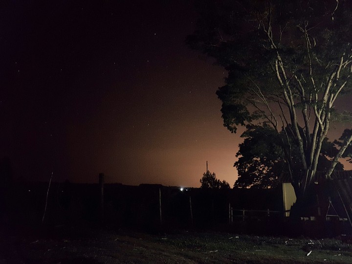 Árvores , noite , Estrelas