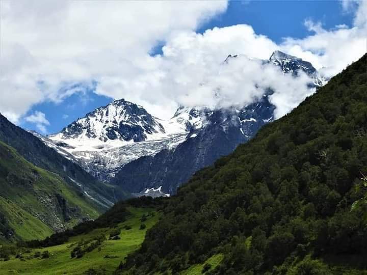 nature