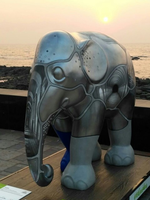 elephant